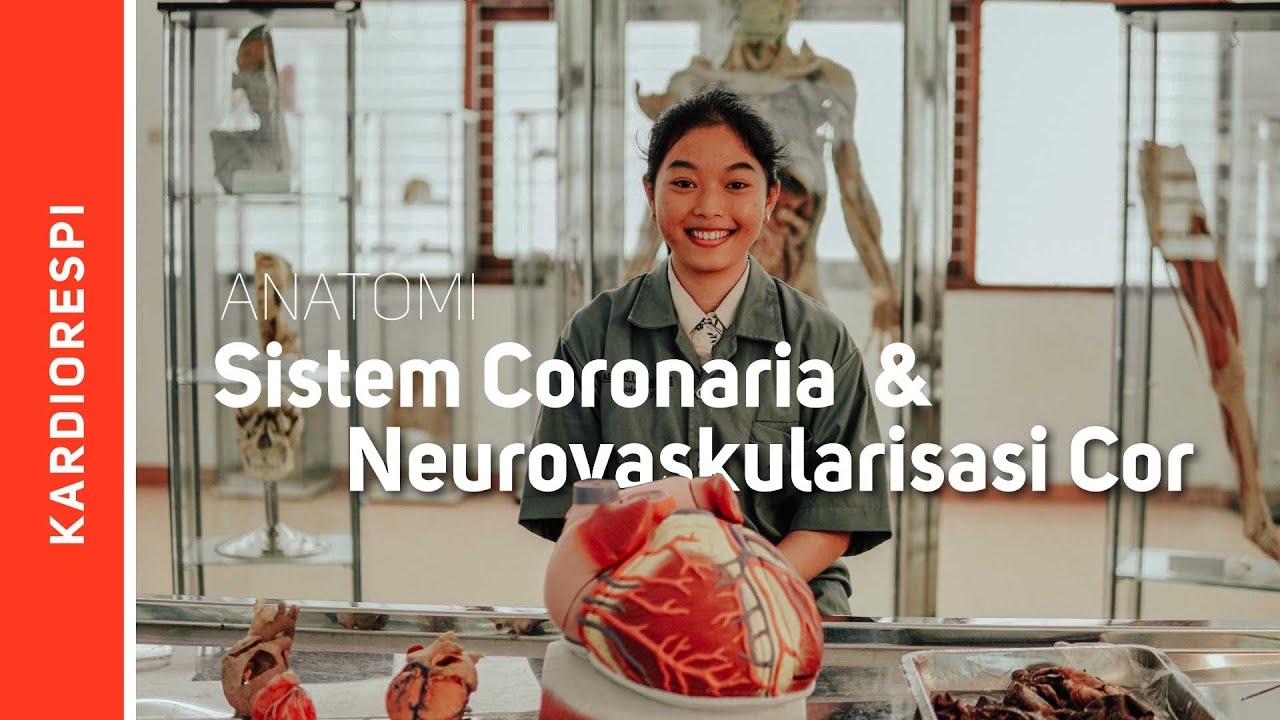 Systema Cardiovasculare: Neurovaskularisasi cor