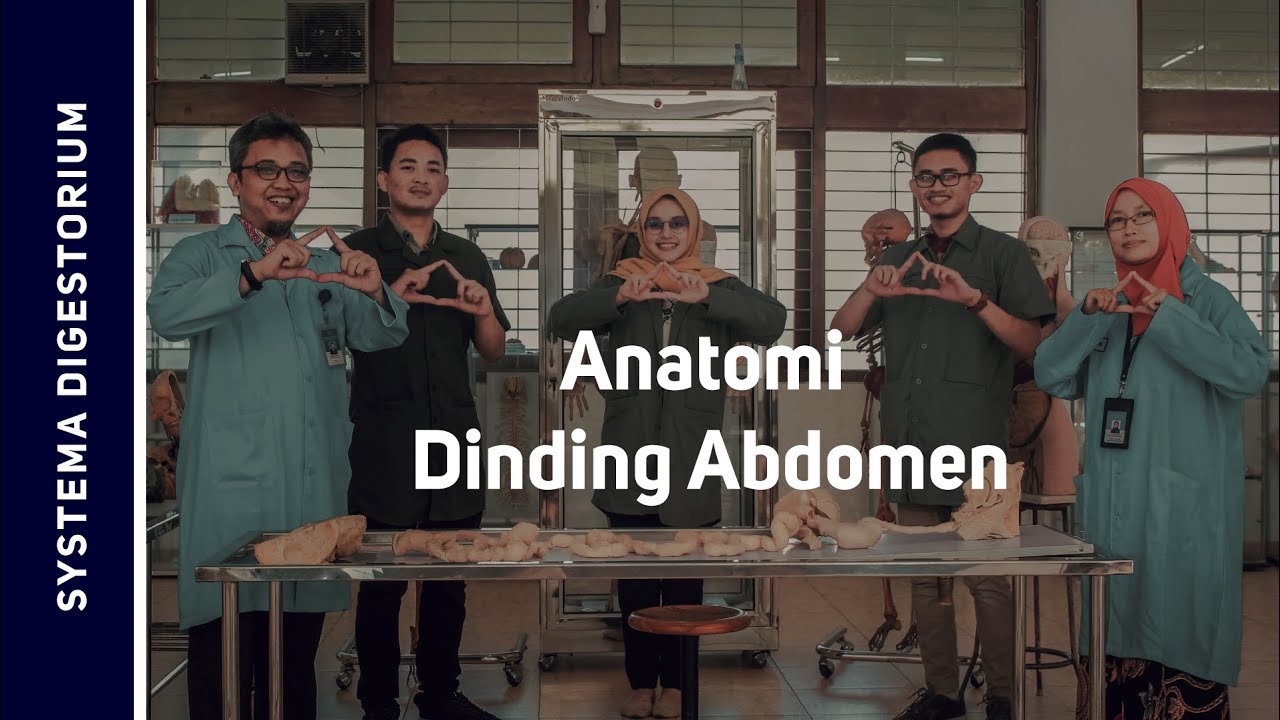 Dinding Abdomen