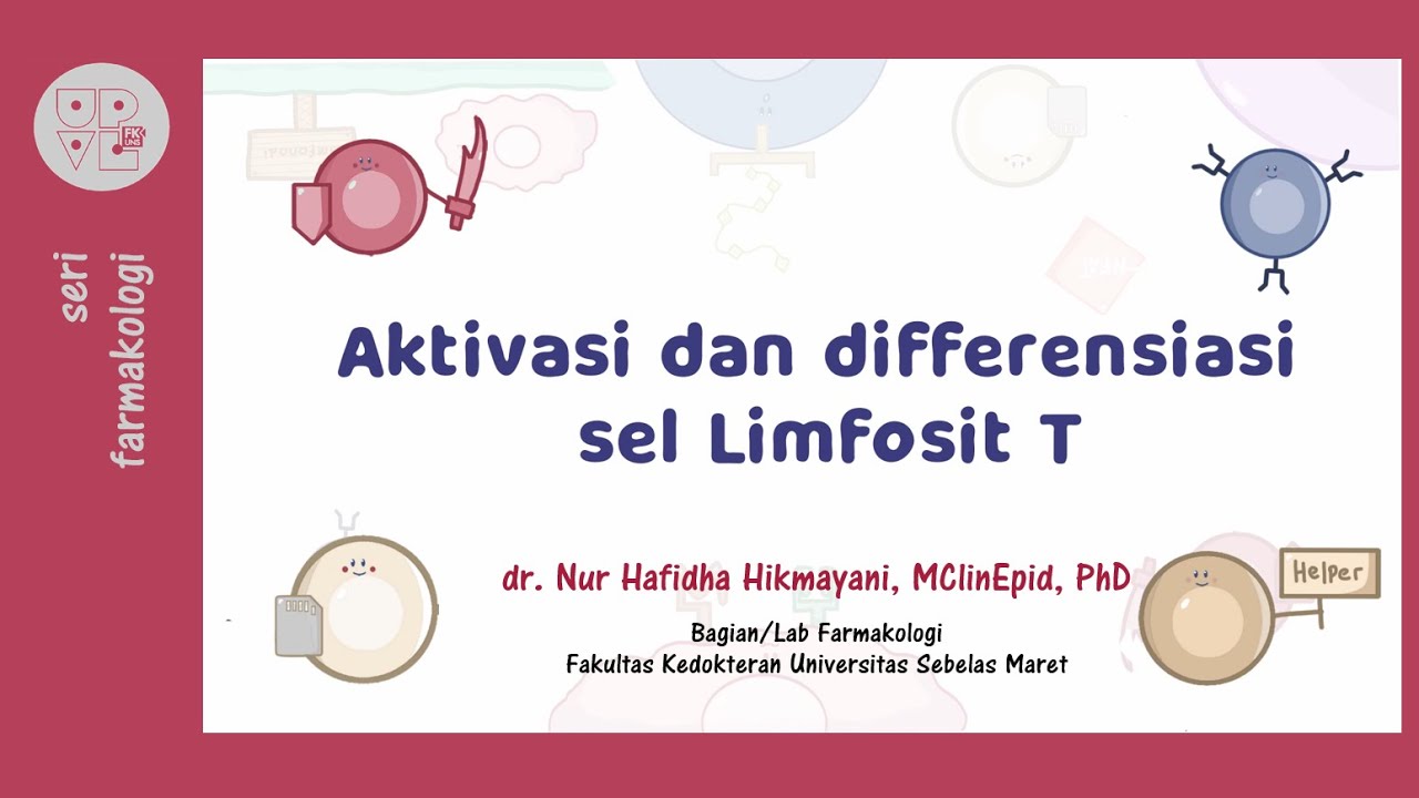 Imunosupresan (1): Aktivasi dan Diferensiasi Sel Limfosit T